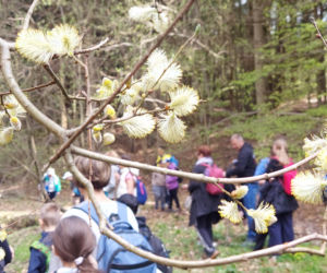 52. Rajd Spotkanie z wiosną