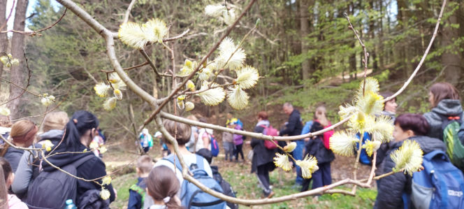 52. Rajd Spotkanie z wiosną