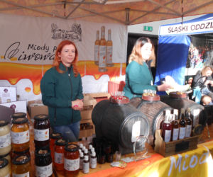 Najlepsze browary rzemieślnicze w katowickim Szybie Wilson. Trwa Silesia Beer Fest [GALERIA]