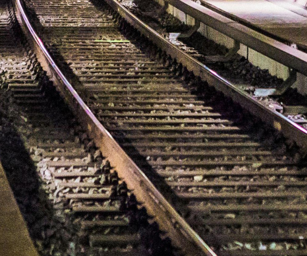 Trwa kontrola po tym, jak dwa składy znalazły się na jednym torze w Piotrkowie Trybunalskim. Wstępnie ustalono, że to błąd ludzki