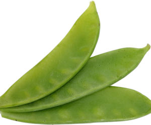 Groch zwyczajny
