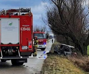 Makabra pod Sochaczewem. Strażacy znaleźli zwęglone zwłoki w seicento