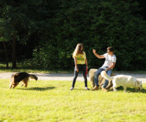 Komisarz Alex 4 sezon odcinek 41 (odc. 2). Michał Orlicz (Antoni Pawlicki), wolontariuszka (Katarzyna Baurska) 