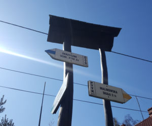 Ograniczenia w lasach. Parkingi i punkty postoju niedostępne dla turystów