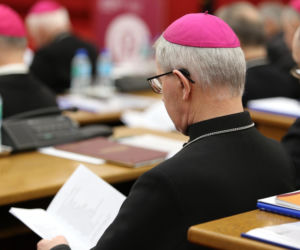 Arcybiskup Tadeusz Wojda nowym przewodniczącym Konferencji Episkopatu Polski. Metropolita gdański został wybrany na 5-letnią kadencję [ZDJĘCIA].