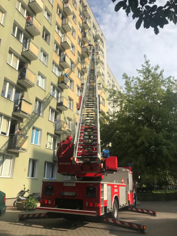 Brawurowa akcja strażaków na Pradze Południe