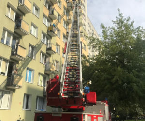 Brawurowa akcja strażaków na Pradze Południe