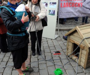 Katarzyna Bujakiewicz przykuła dziecko do budy