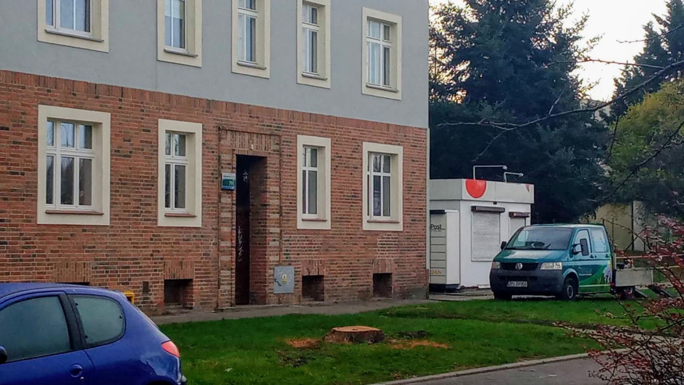 Okazałe drzewa na Turzynie poszły pod topór
