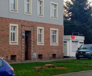 Okazałe drzewa na Turzynie poszły pod topór