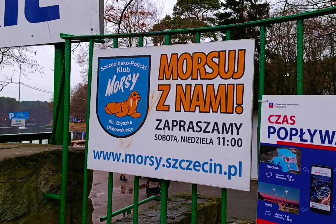 Szczecińskie morsy powitały 2026 rok