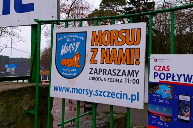 Szczecińskie morsy powitały 2026 rok
