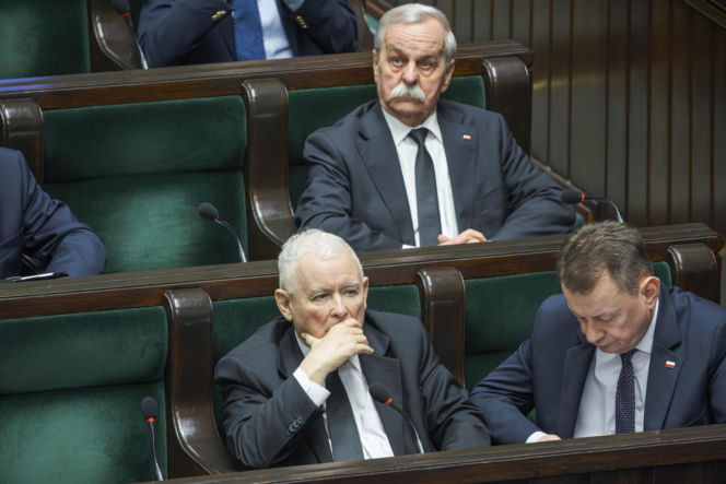 Kaczyński będzie jak Dionizos! Kiście winogron uginają się od słodyczy