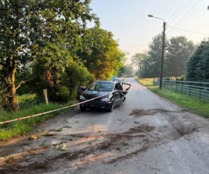 16-latek skasował Opla na drzewie. Auto zabrał matce, żeby przewieźć znajomych