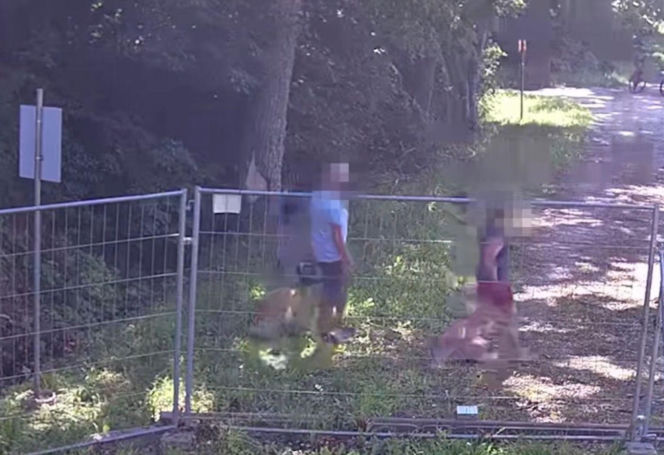 Mężczyzna i kobieta chcieli z bliska zobaczyć granicę z Rosją i zrobić kilka pamiątkowych zdjęć. Rowerowa wycieczka przybrała jednak nieoczekiwany obrót