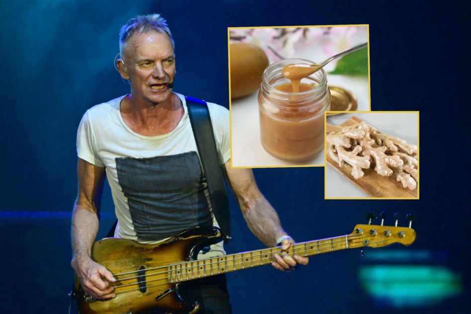 Sting bez miodu nie wystąpi