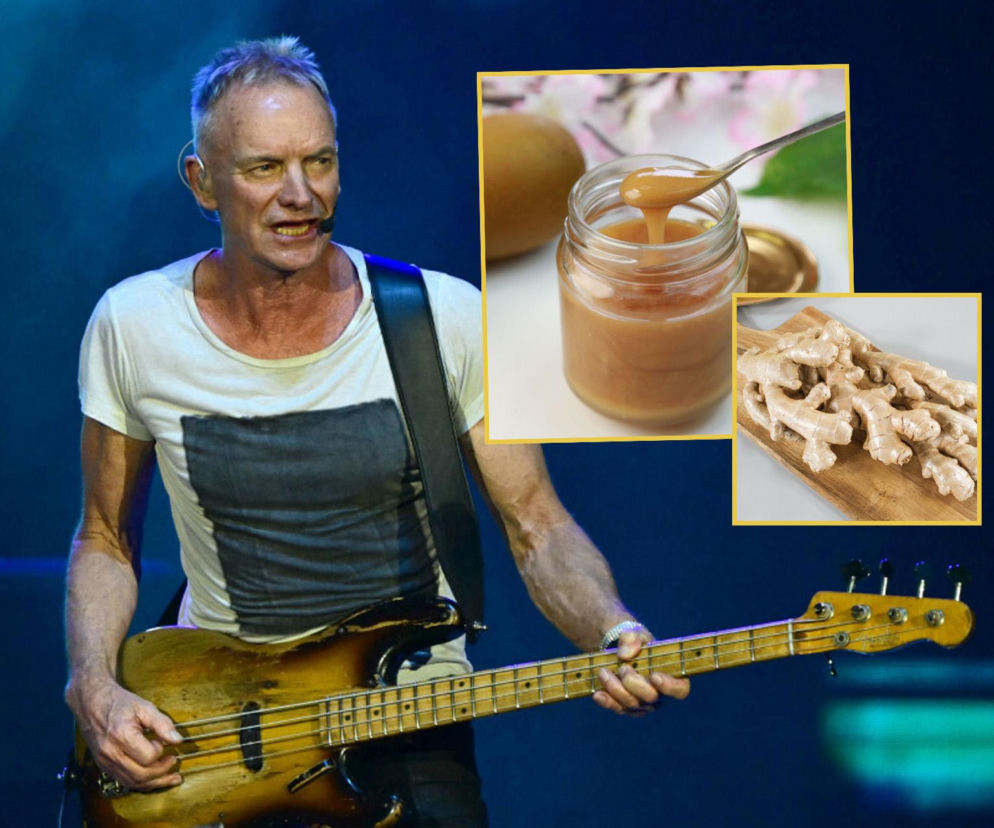 Sting bez miodu nie wystąpi