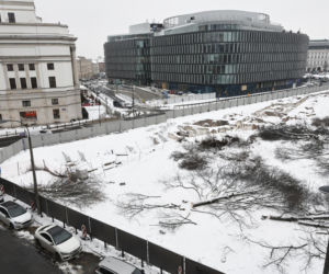 Rzeź drzew w parku w centrum Warszawy. Przygnębiający widok przed odbudową Pałacu Saskiego