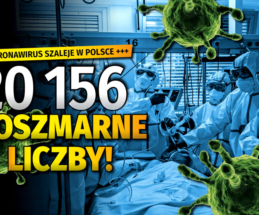 LICZBA DNIA 29 10