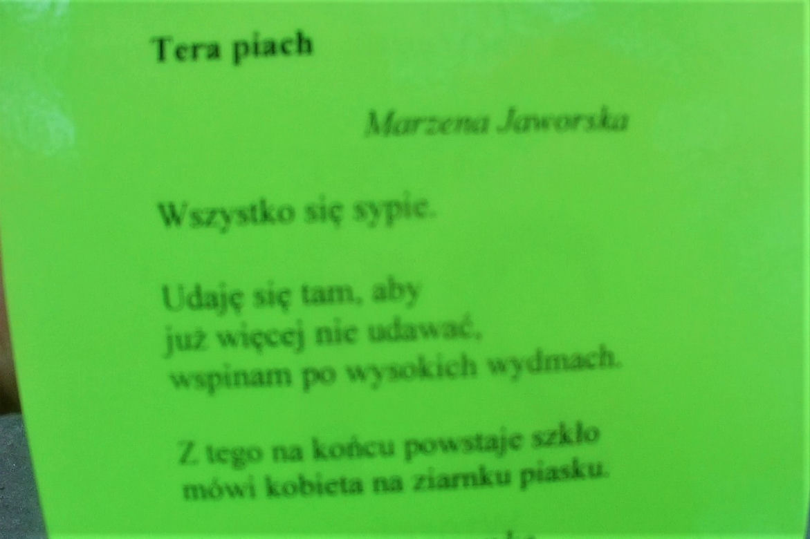 Światowy Dzień Poezji w Szczecinie