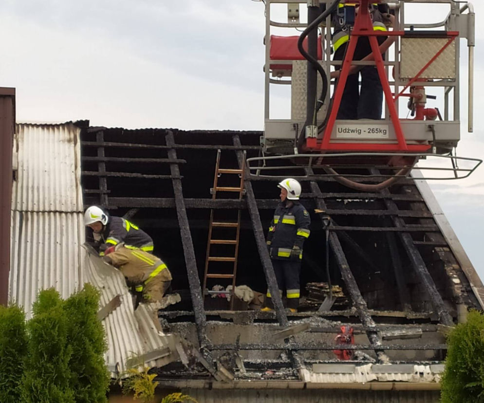 Strzyżów: Pani Marta z 3 córkami straciły dach nad głową. Potrzebna pomoc! 