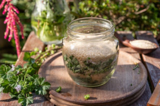 Zamiast iść do apteki sięgnij do kuchni. Domowe syropy na kaszel i przeziębienie, które naprawdę pomagają