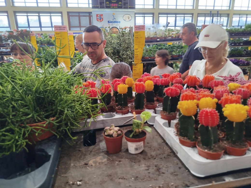 Festiwal Roślin 2025 w Siedlcach