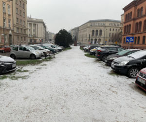 Spadł pierwszy śnieg! Zobacz jak wyglądają ulice Poznania