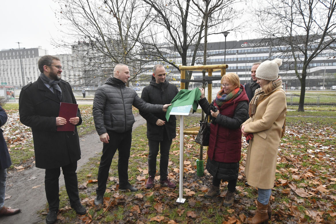 Powstańcy zapuścili korzenie. 20 drzew dla bohaterów w parku na Woli