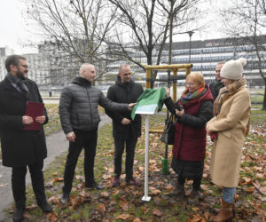 Powstańcy zapuścili korzenie. 20 drzew dla bohaterów w parku na Woli