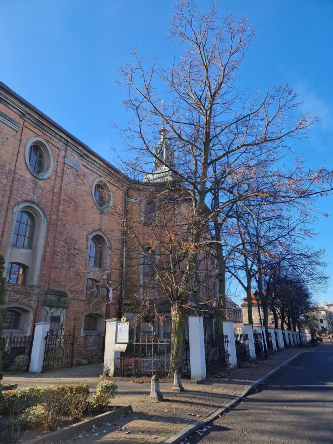 Remont muru kościelnego