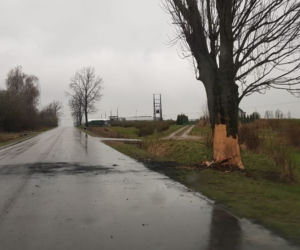 Końskowola: Śmiertelny wypadek. 19-latka NIE ŻYJE! ZWĘGLONE ZWŁOKI w płonącym aucie