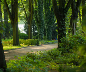 Ogród Botaniczny w Zabrzu