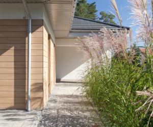 Dom wtopiony w otoczenie