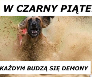Black Friday memy