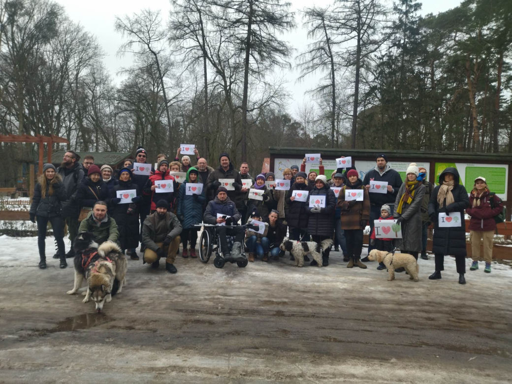 Protest na Barbarce w Toruniu. Społecznicy nie chcą wycinki starych sosen