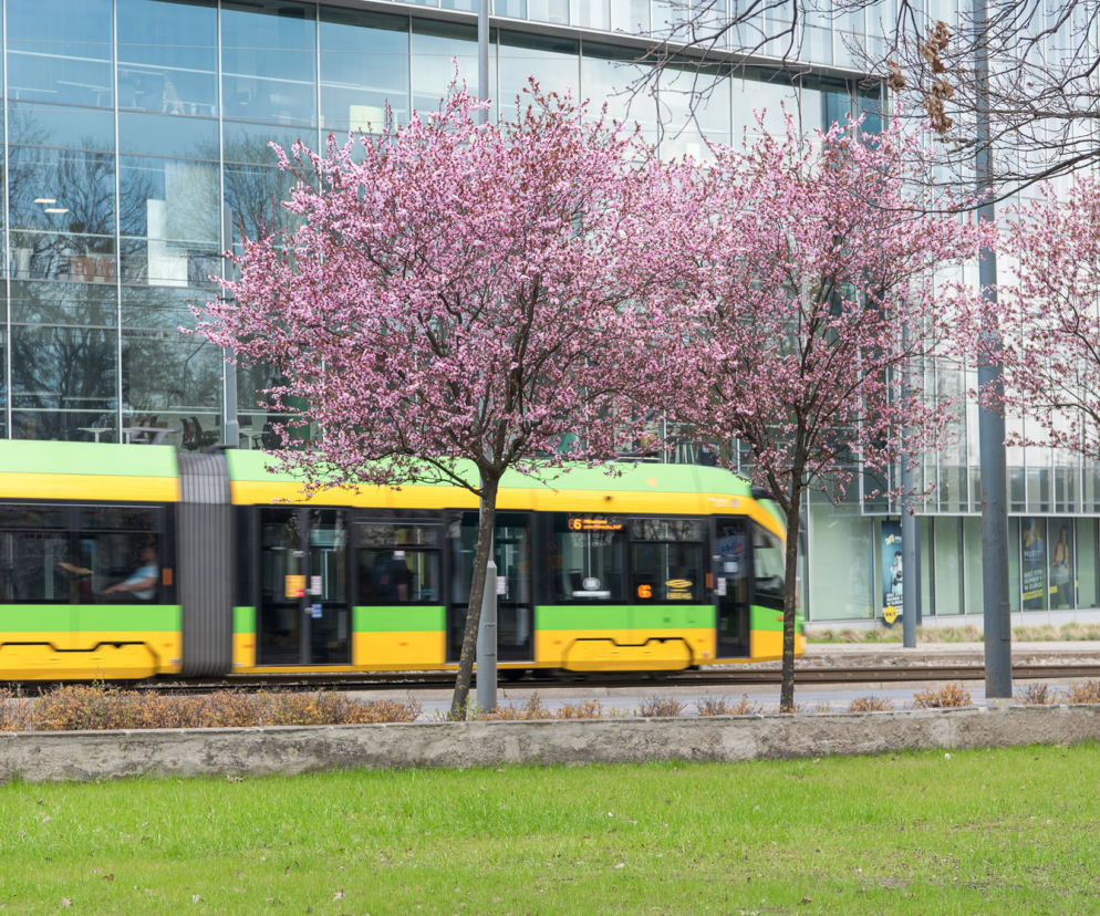 Tramwaj Poznań