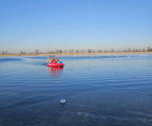Makabryczny widok nad jeziorem! 50 martwych łabędzi. Wiadomo, co je zabiło