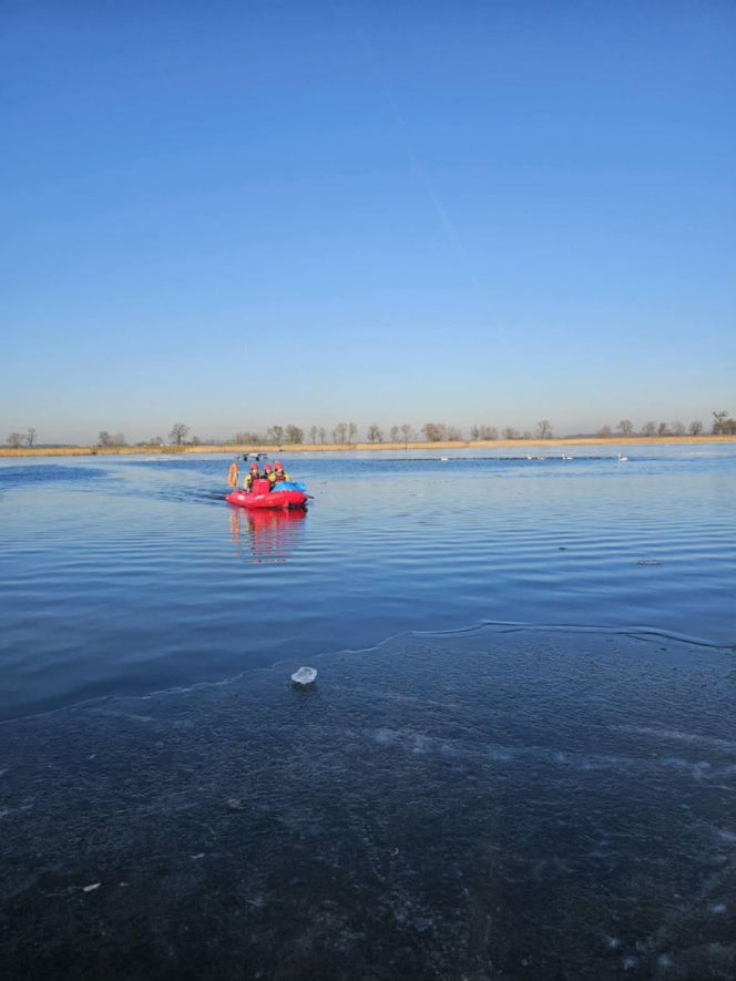 Makabryczny widok nad jeziorem! 50 martwych łabędzi. Wiadomo, co je zabiło