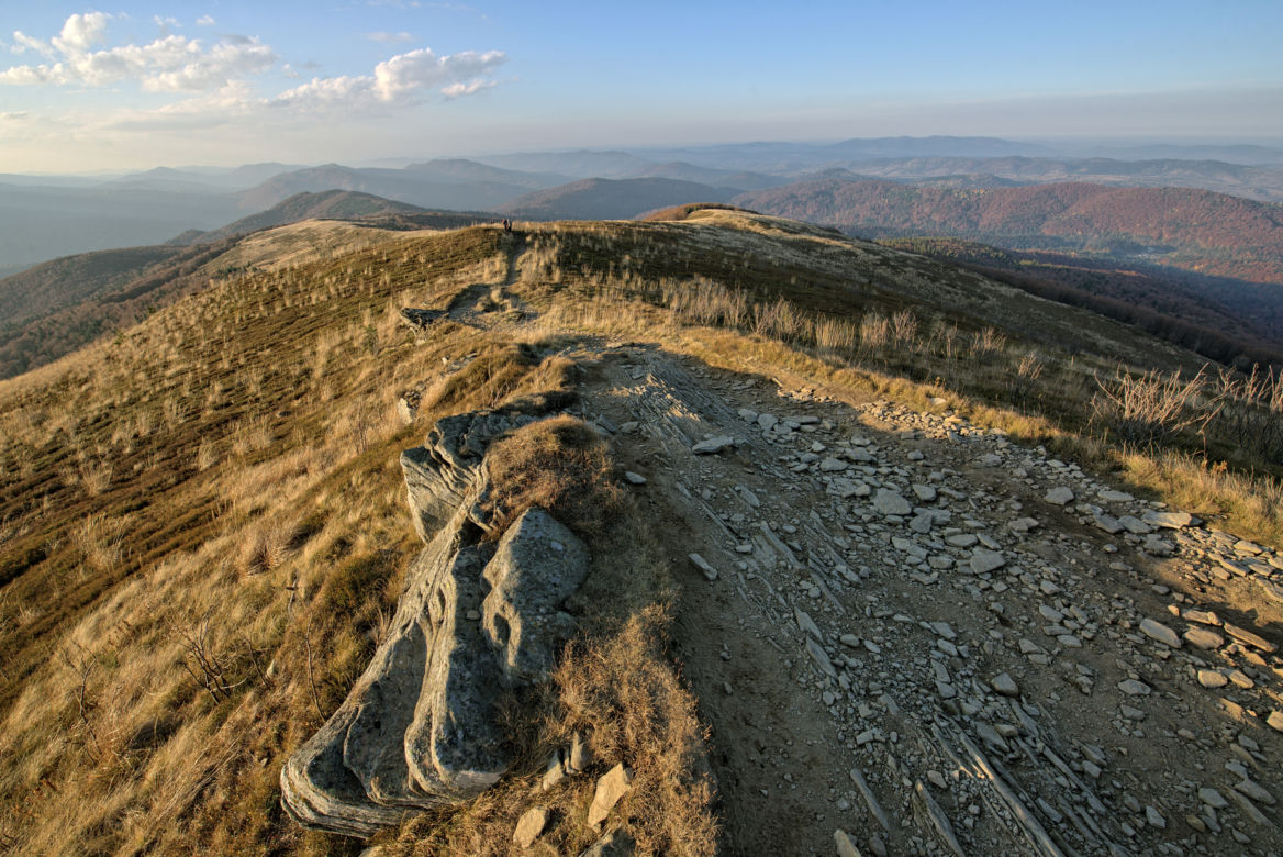 Tarnica 