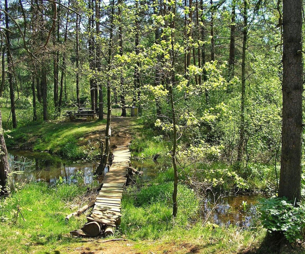 To nowa atrakcja przyrodnicza. Przejdzie przez środek rezerwatu z listy UNESCO