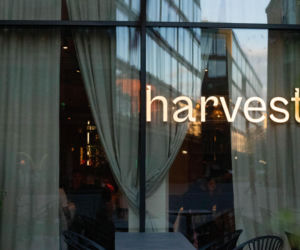 Nowa restauracja w Elektrowni Powiśle już otwarta. harvest stawia na sezonowość, prostotę i polskie smaki 