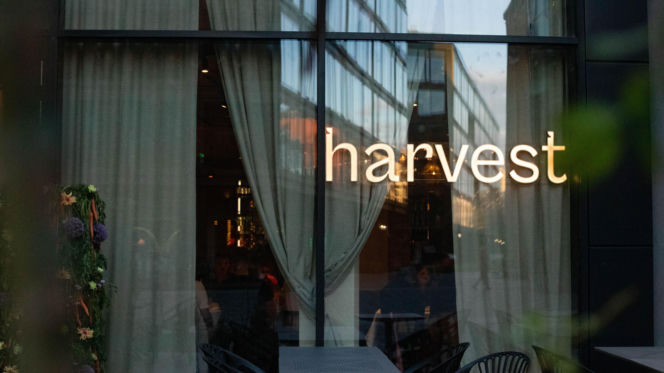 Nowa restauracja w Elektrowni Powiśle już otwarta. harvest stawia na sezonowość, prostotę i polskie smaki 