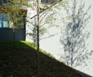 Osiedle Santorini, Warszawa