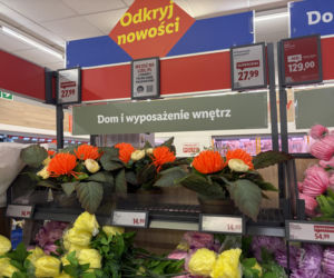 Kwiaty na Wszystkich Świętych 2026