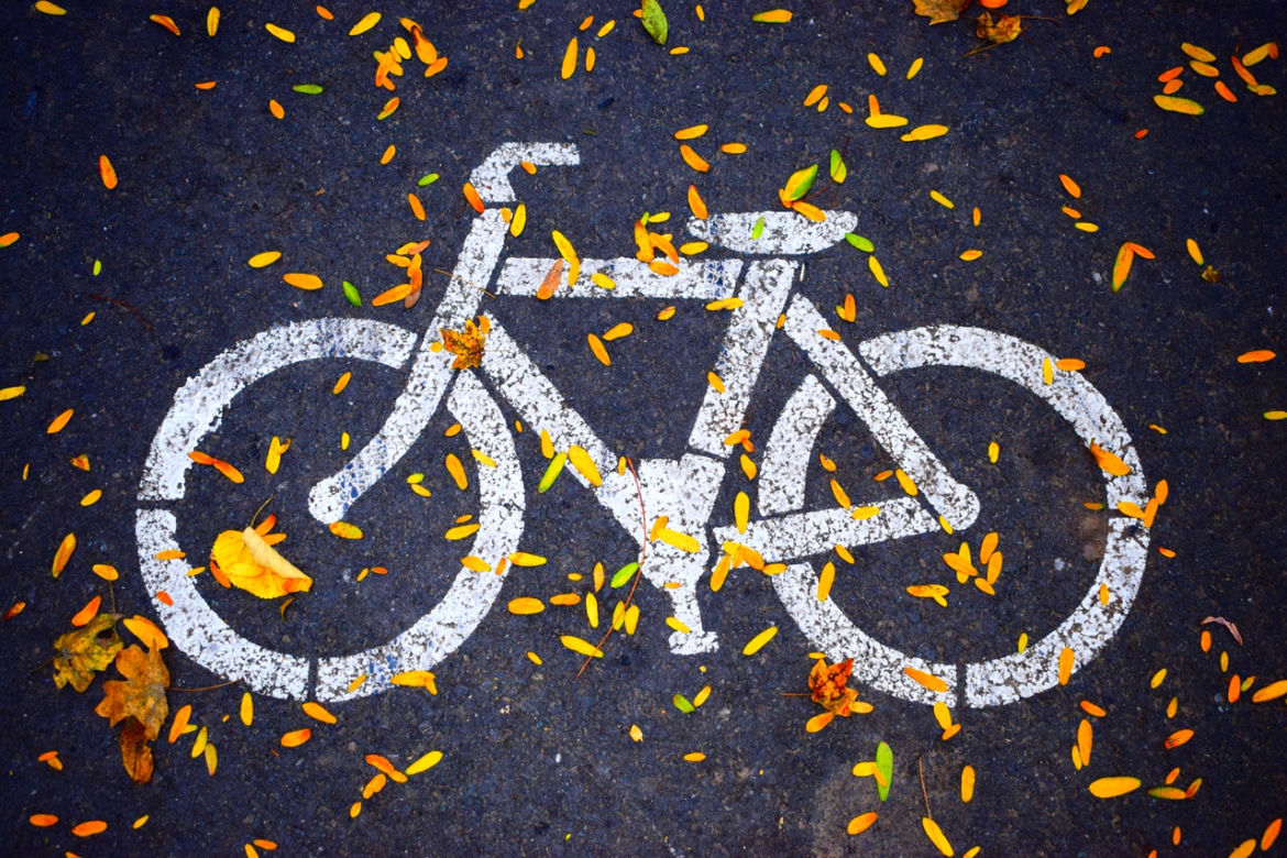 Szlak MTB