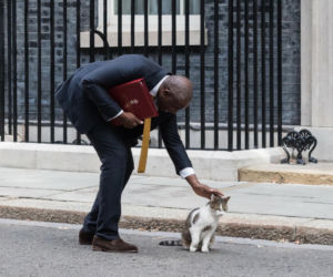 Oto Larry. Chief Mouser to the Gabinet Office