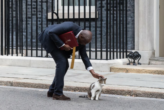 Oto Larry. Chief Mouser to the Gabinet Office