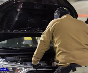 Potężne uderzenie w gang samochodowy. 10 osób w rękach policji