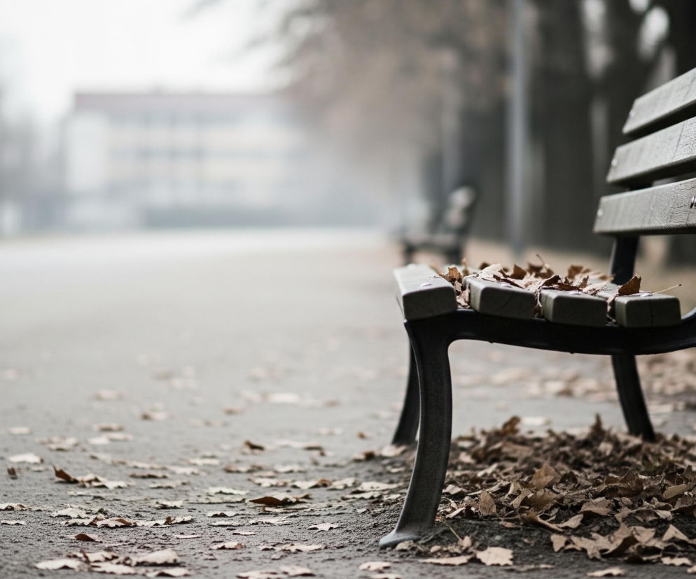 Drewniana ławka z ciemnym, metalowym stelażem, częściowo pokryta suchymi liśćmi, stoi na pierwszym planie po prawej stronie. Liczne suche liście w odcieniach brązu i beżu leżą rozsypane na szarym chodniku oraz u podstawy ławki, tworząc wyraźne skupisko. W tle, w perspektywie, rozciąga się długa aleja otoczona rzędami drzew bez liści, a na końcu alei widoczny jest niewyraźny budynek w pastelowych barwach, wszystko otoczone lekką mgłą.